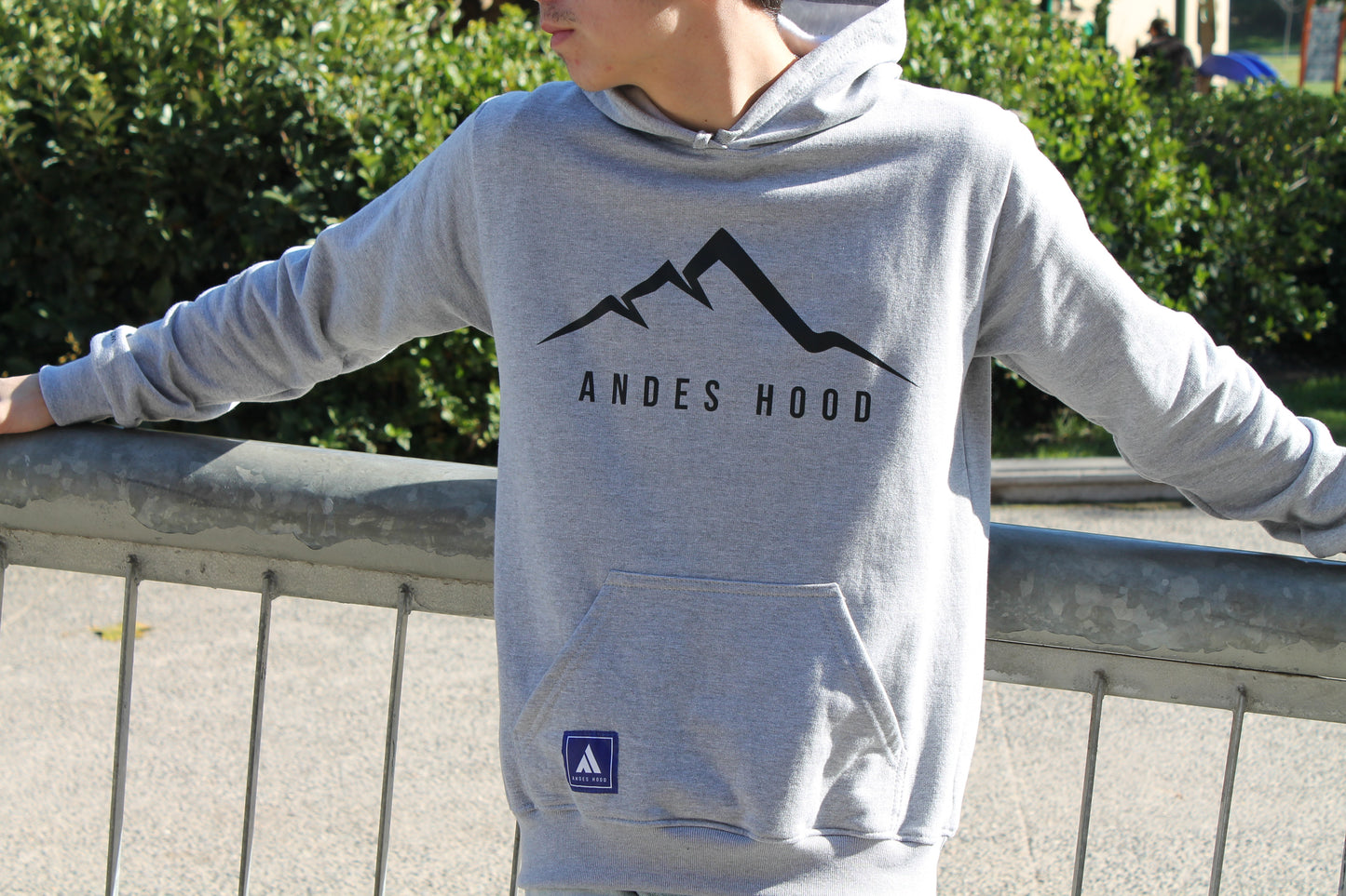 HOODIE MODELO ESENT
