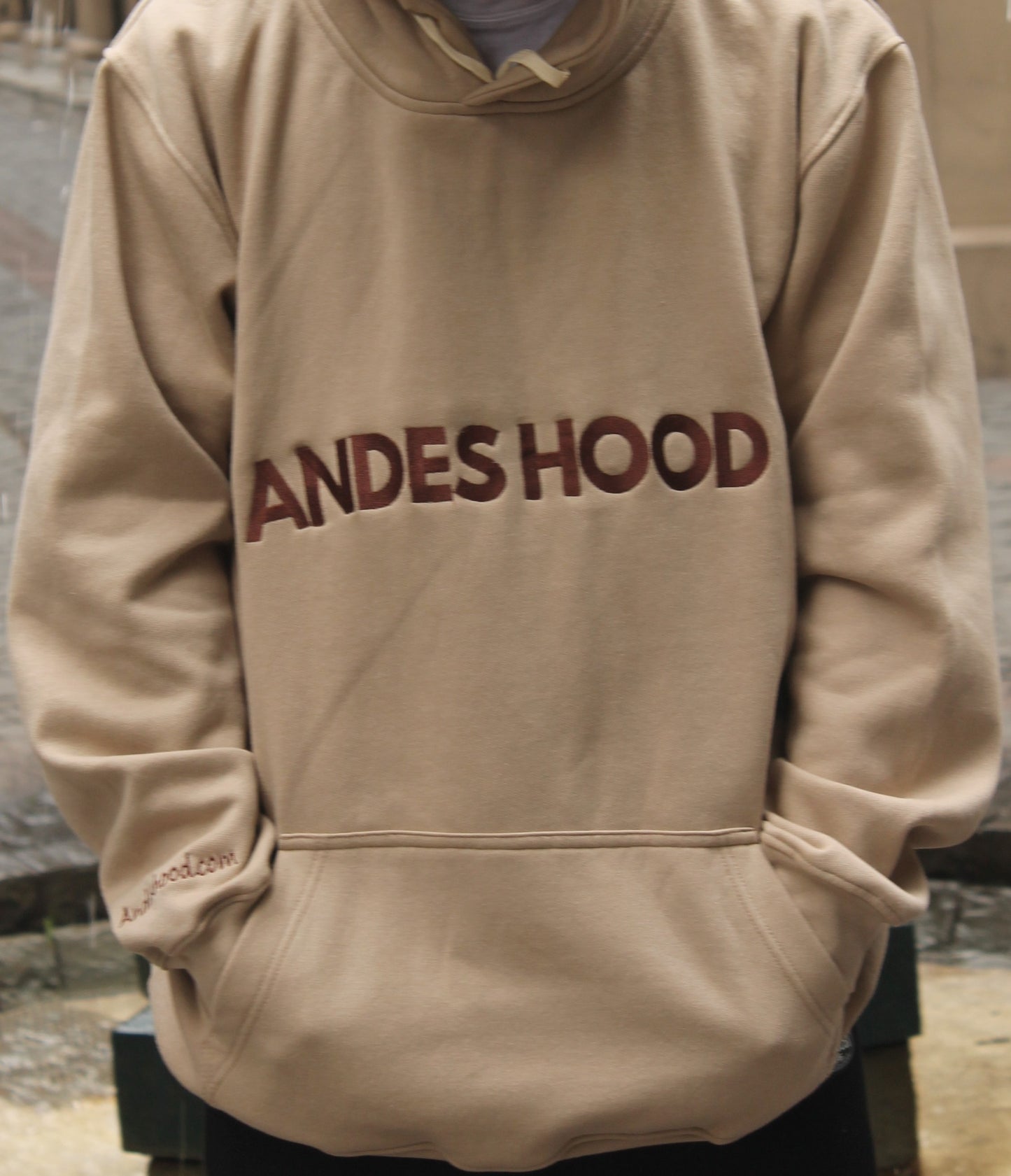 HOODIE MODELO GLETS